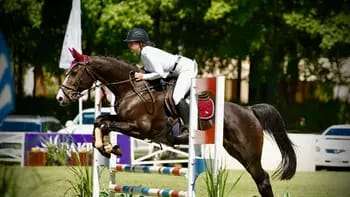 Este fin de semana, el Club Hípico Santa Catalina de Ctes se convertirá en el epicentro de la equitación
